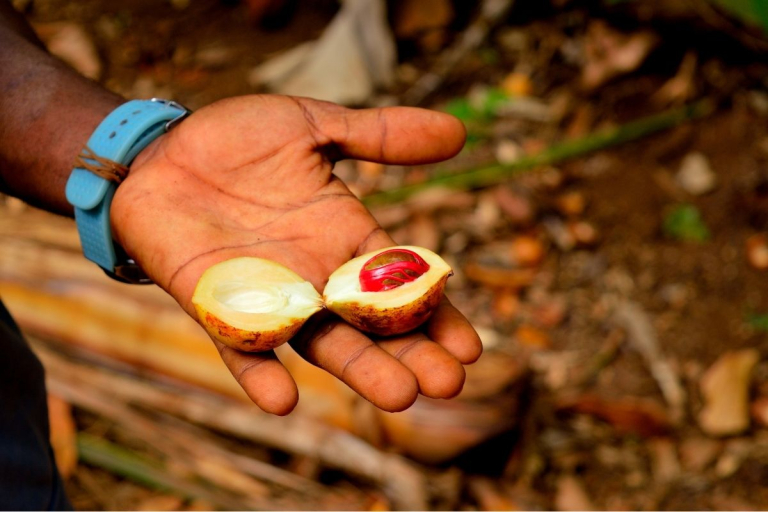 Spice Farm Tour